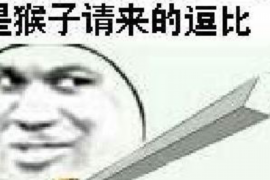 四会债务清欠服务